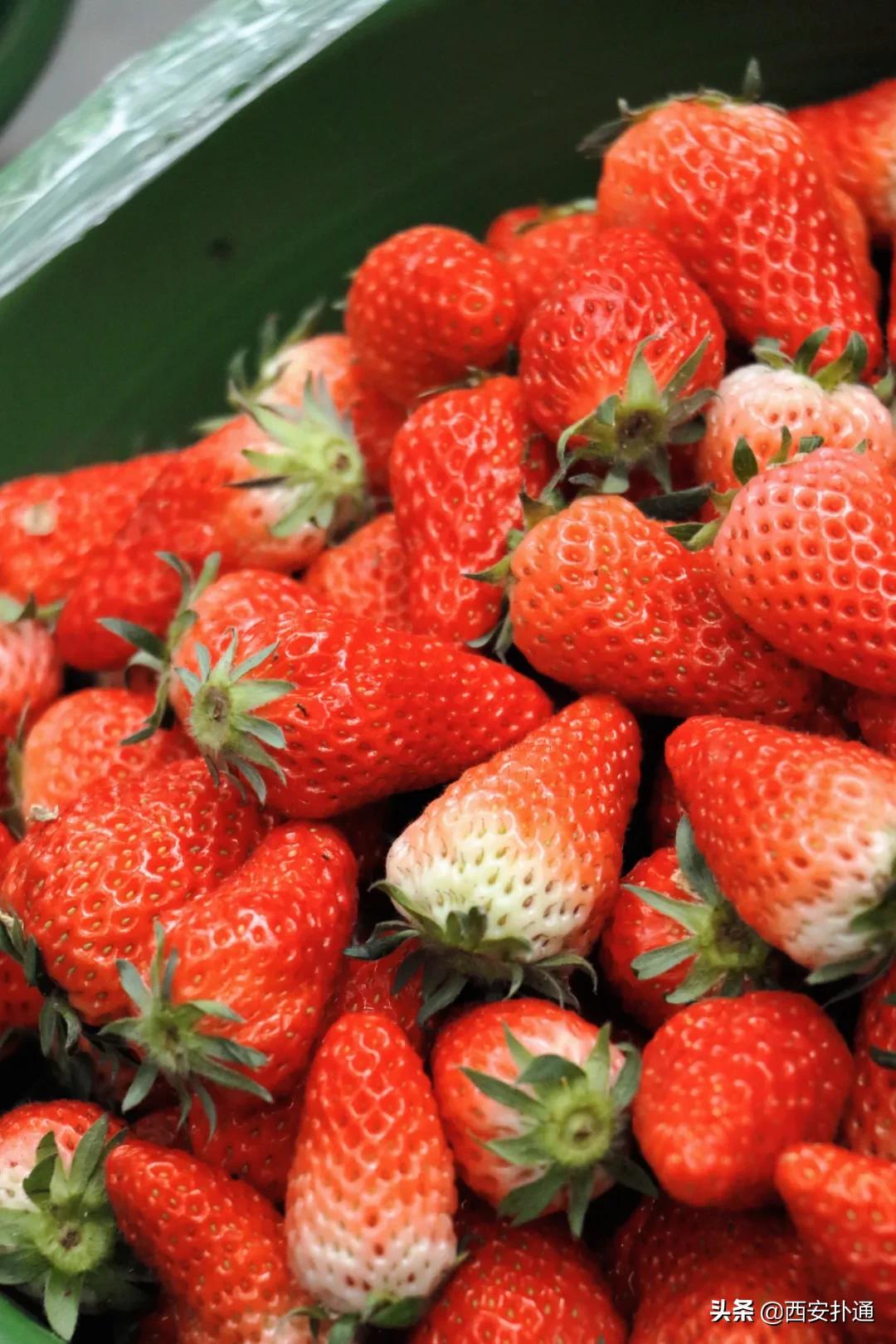 在西安，你一定要逛一次万寿路的早市