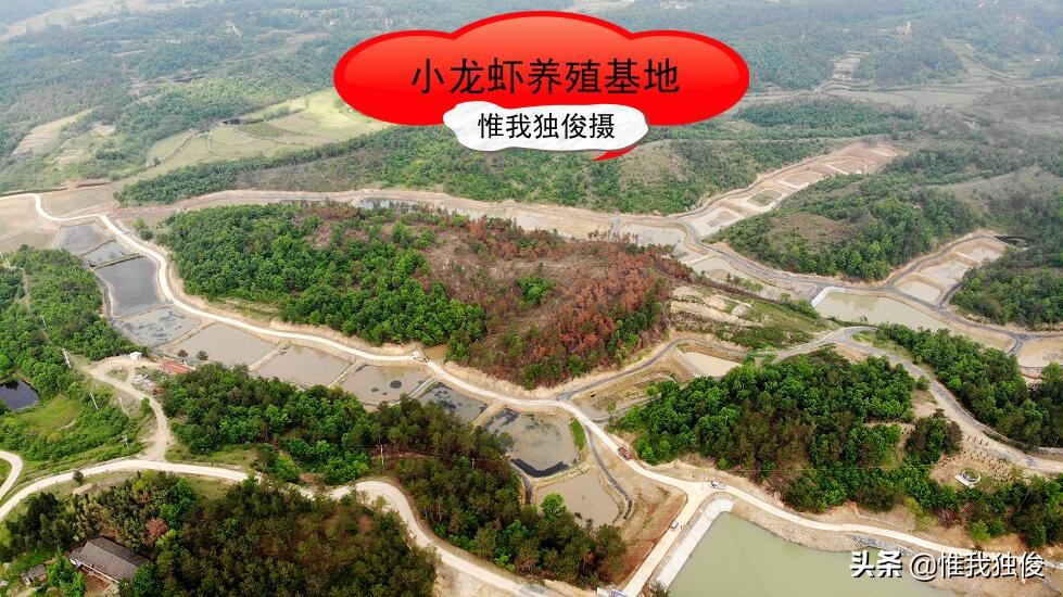 随州拱桥河村,致富不忘众乡亲