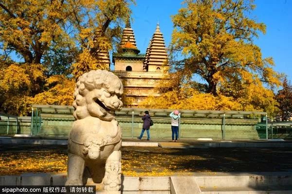 泡温泉玩水上滑梯,北京可以泡温泉又可以玩水上滑梯