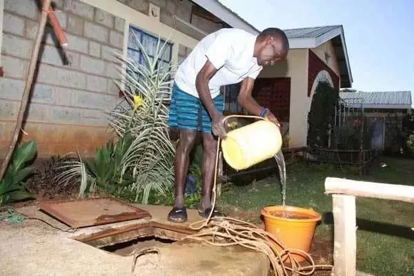 大迫杰基普乔格兔子,大迫杰问基普乔格