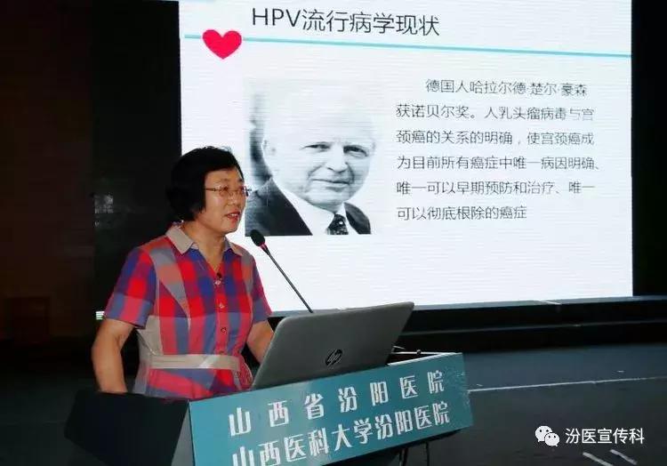 群英荟萃聚精华,群英荟萃齐聚一堂下一句