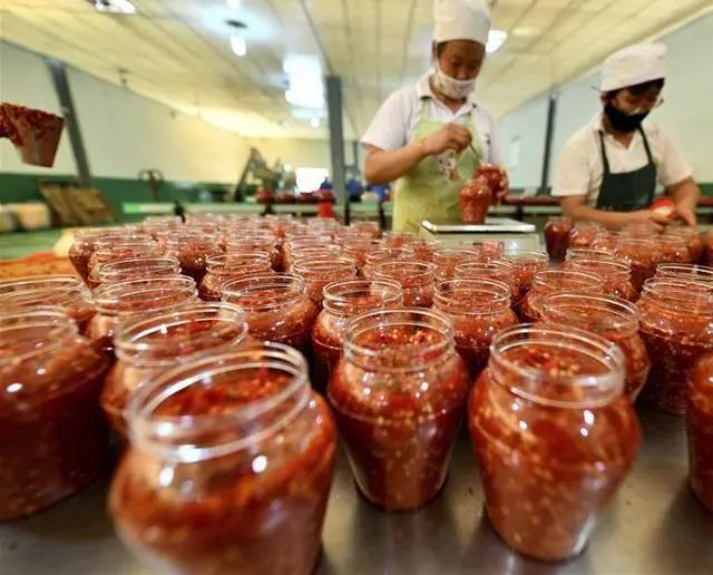 未来三年农村创业项目的发展,农村创业项目推荐2020新政策