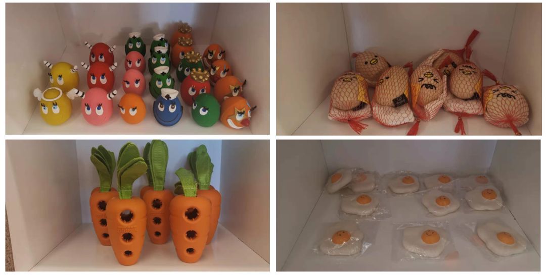 韩国宠物店推荐,韩国宠物店体验