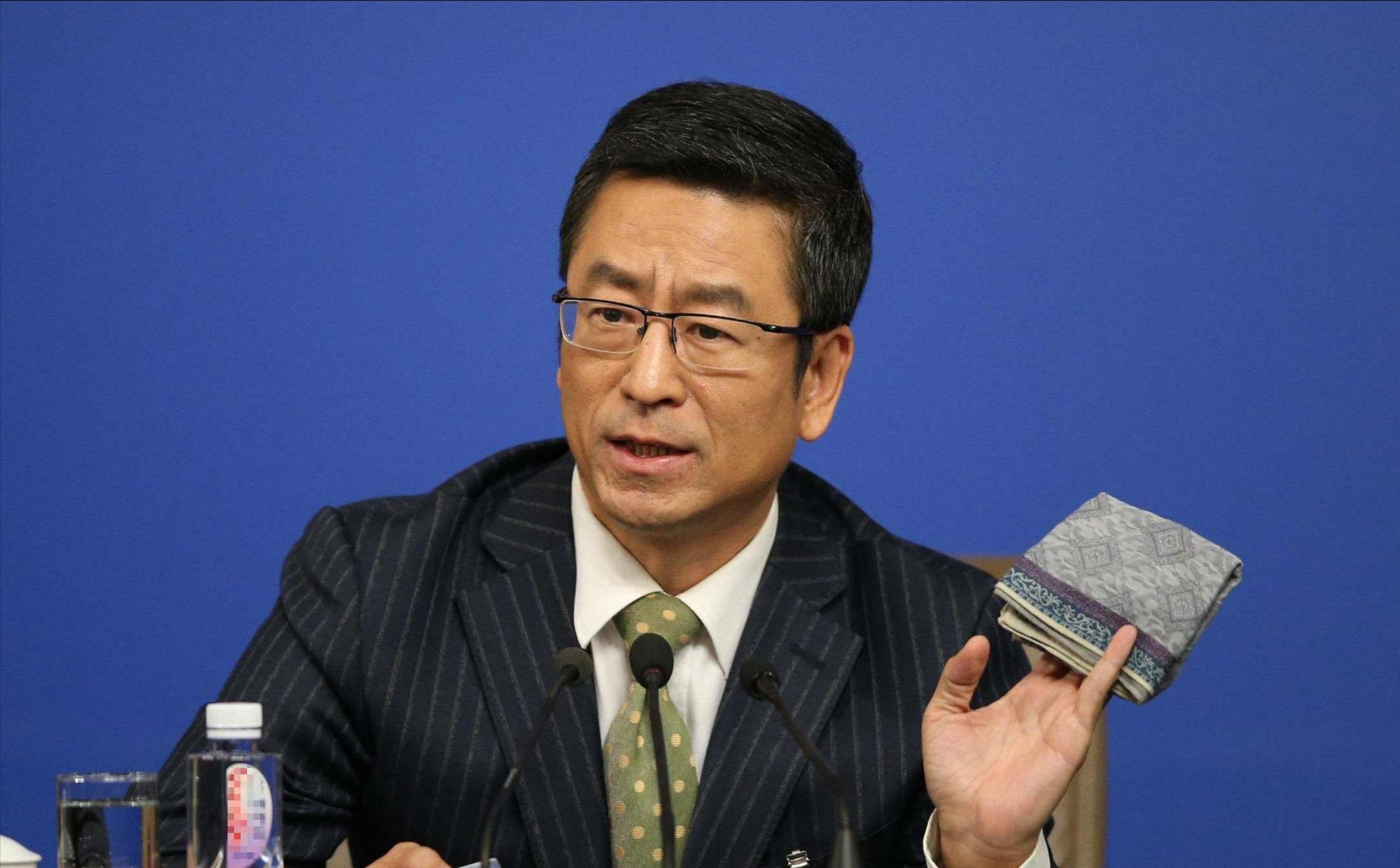 王朔点评白岩松原图,王朔是怎么批评白岩松的