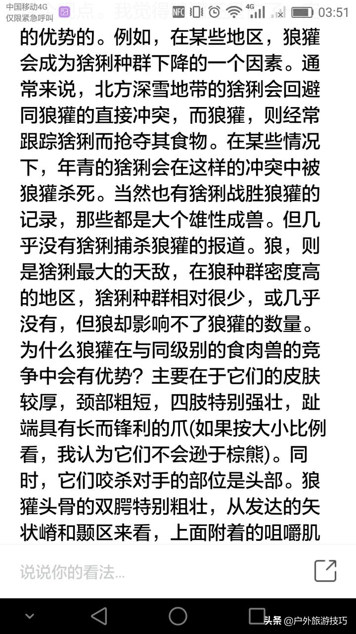 平头哥蜜獾目前存活数量,平头哥蜜獾能养吗