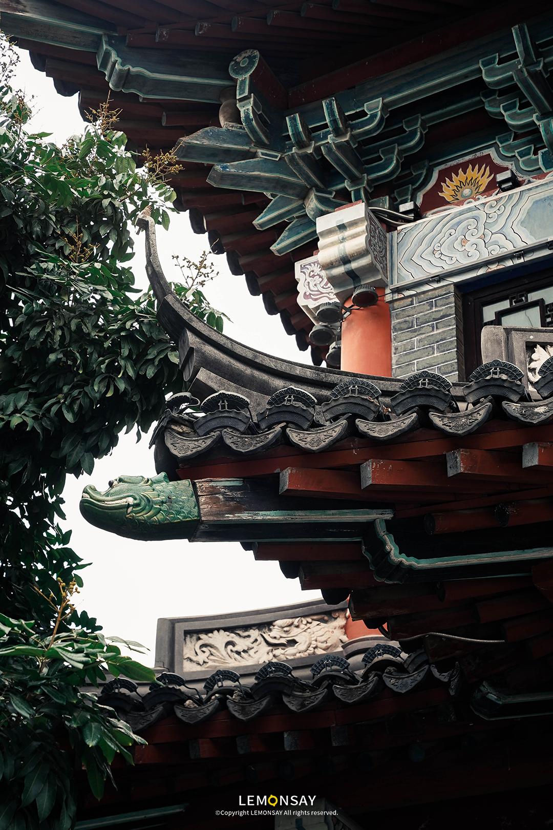 沙井的蚝,沙井为什么这么多蚝