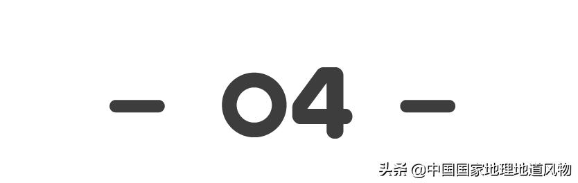 哪个地方的奥运冠军最多,中国哪个县世界冠军最多