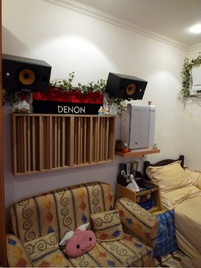 音响发烧入门级,音响发烧入坑过程