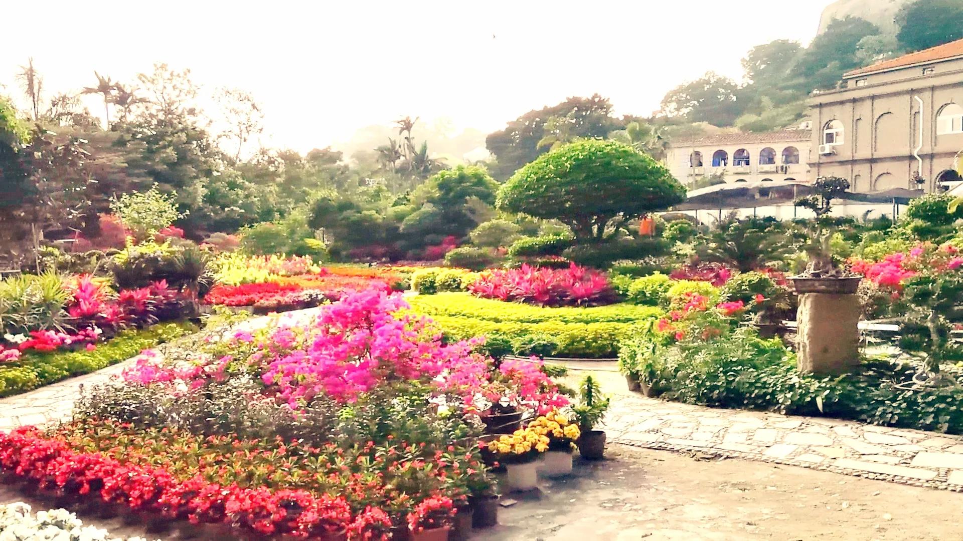 濮戝珎鏃呰璁板綍,濮戝珎鏃呰鏃ヨ