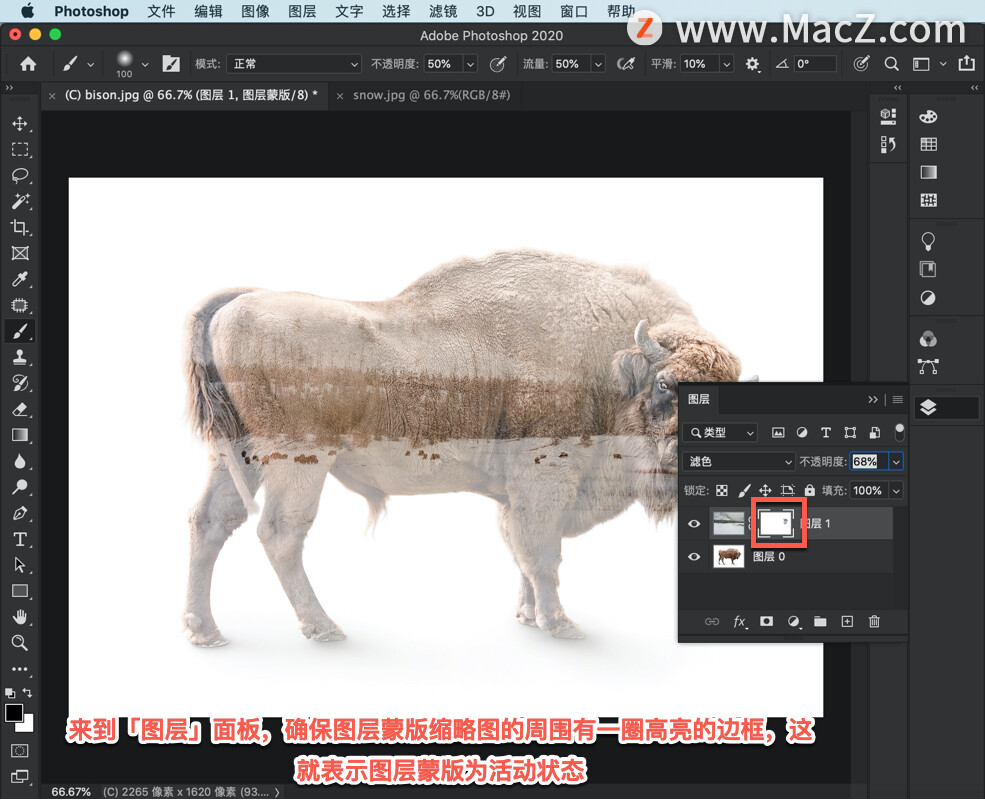 ps中怎么创建选区,ps教程百张相片