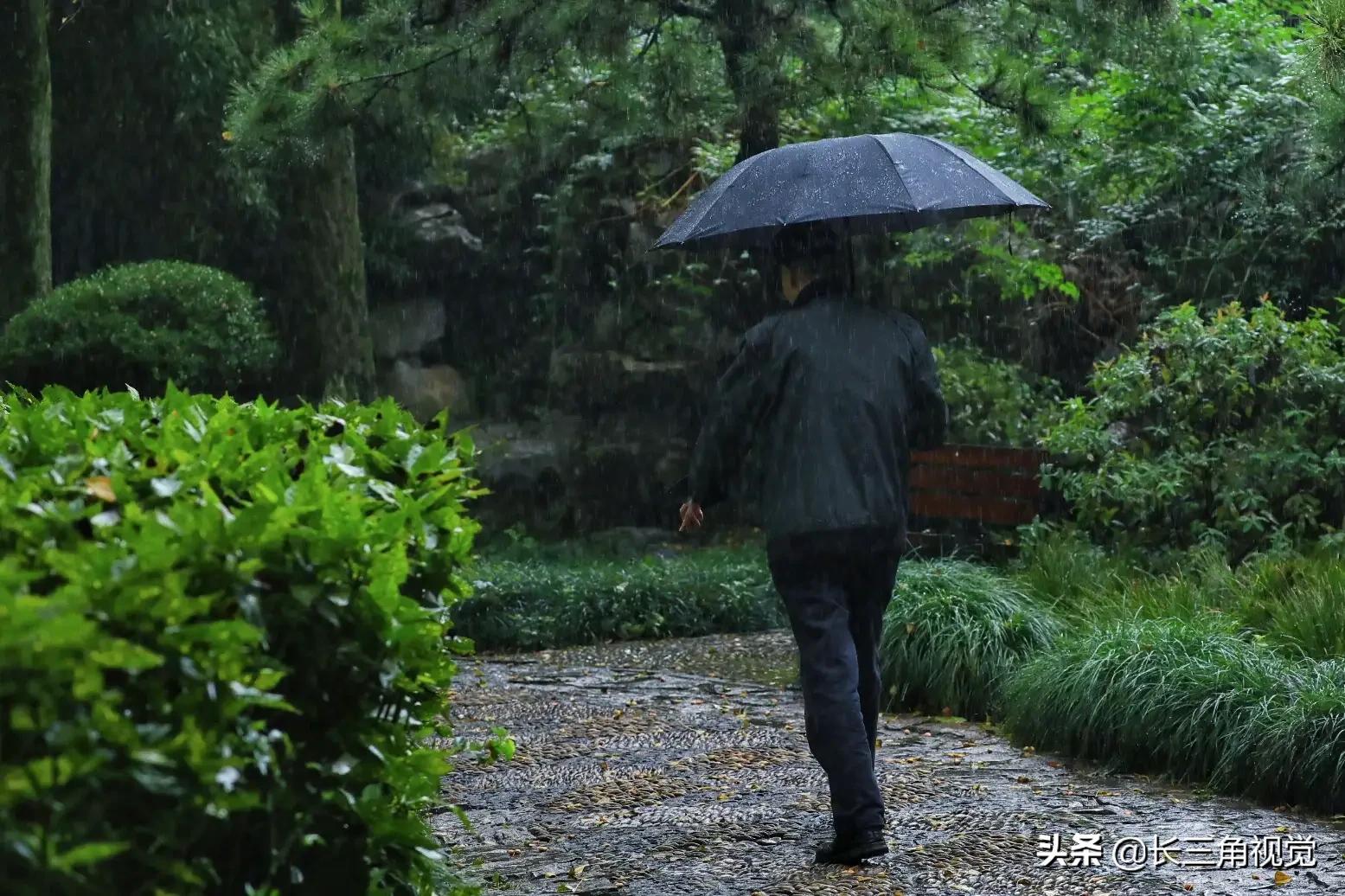 “断崖式”寒潮过后,湖州:晚秋芙蓉始盛开