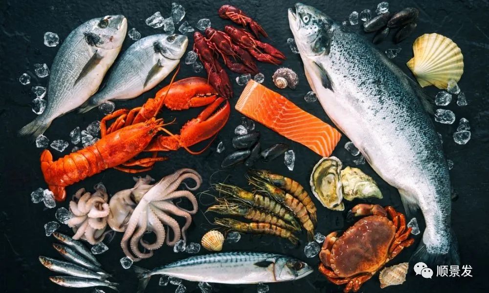 冷冻海鲜进口知识大全,船冻鱿鱼回家怎么处理