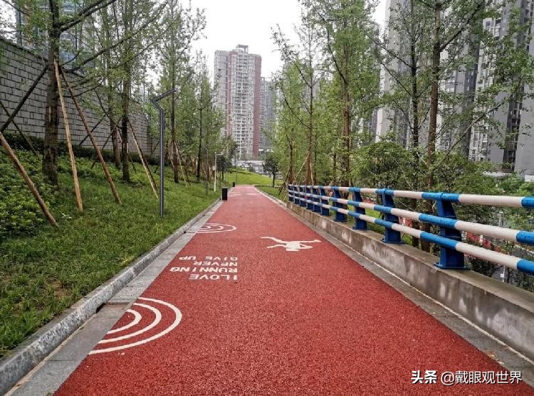 溉澜溪体育公园现在还有花吗,重庆溉澜溪体育公园足球场