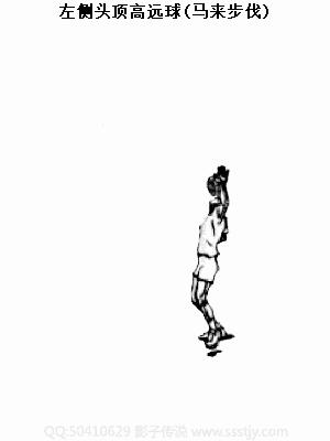 金秋诗画（学羽精华33.发力技巧）