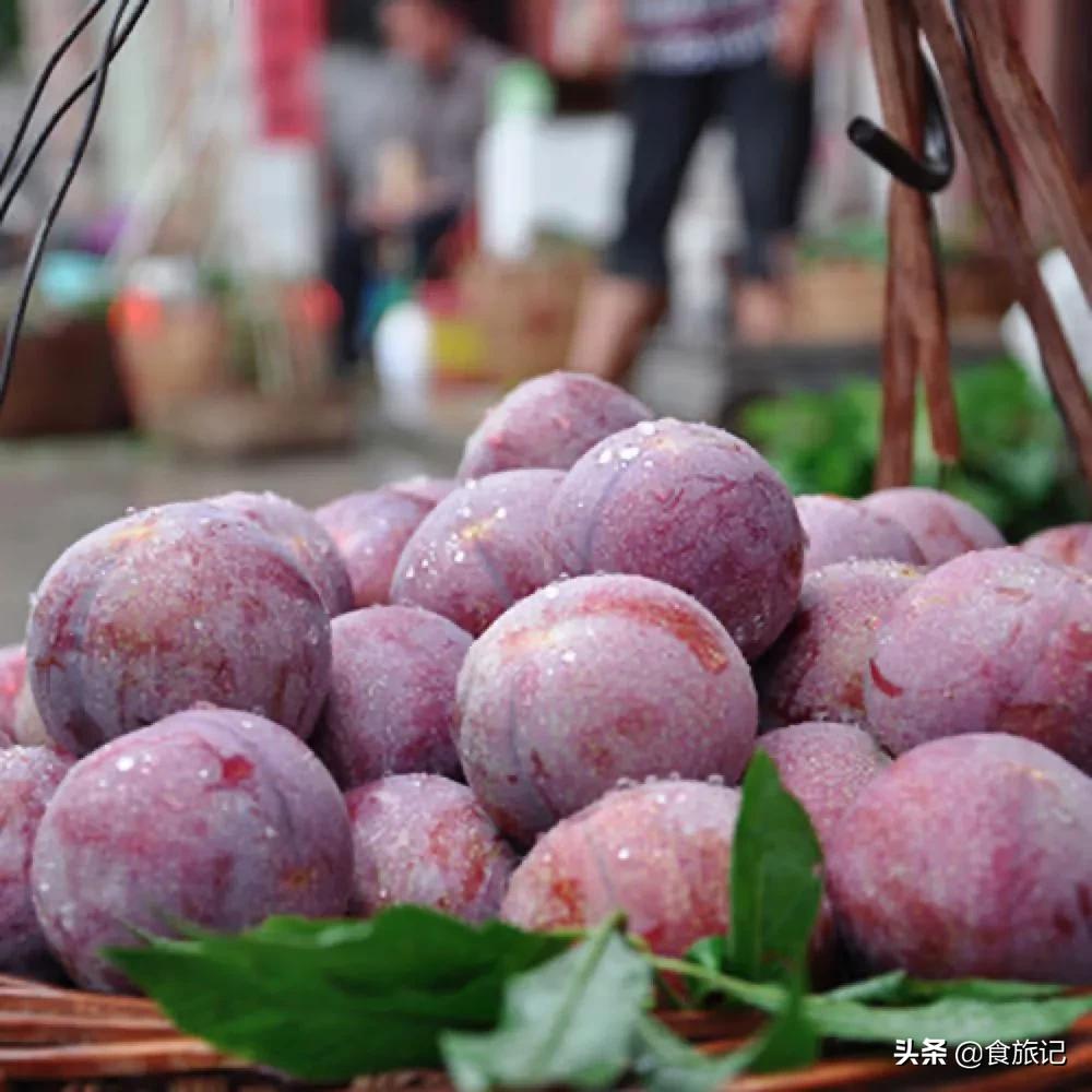 正宗的三华李水果,摘三华李酸甜脆口特解馋