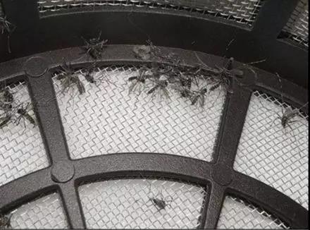 无辐射电捕蚊子灭蚊灯,灭蚊灯家用卧室母婴无辐射驱蚊器