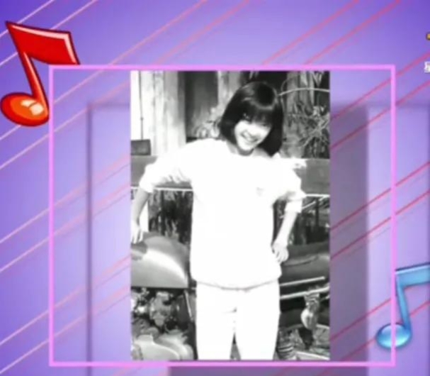 陈慧娴与梅艳芳实力,梅艳芳和陈慧娴的纷争