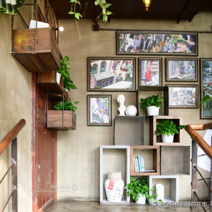 网红餐厅“胡桃里”的绿植布置|行摄