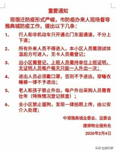 疫情期间多地禁止遛狗！狗在家不上厕所怎么办？无聊拆家怎么办？