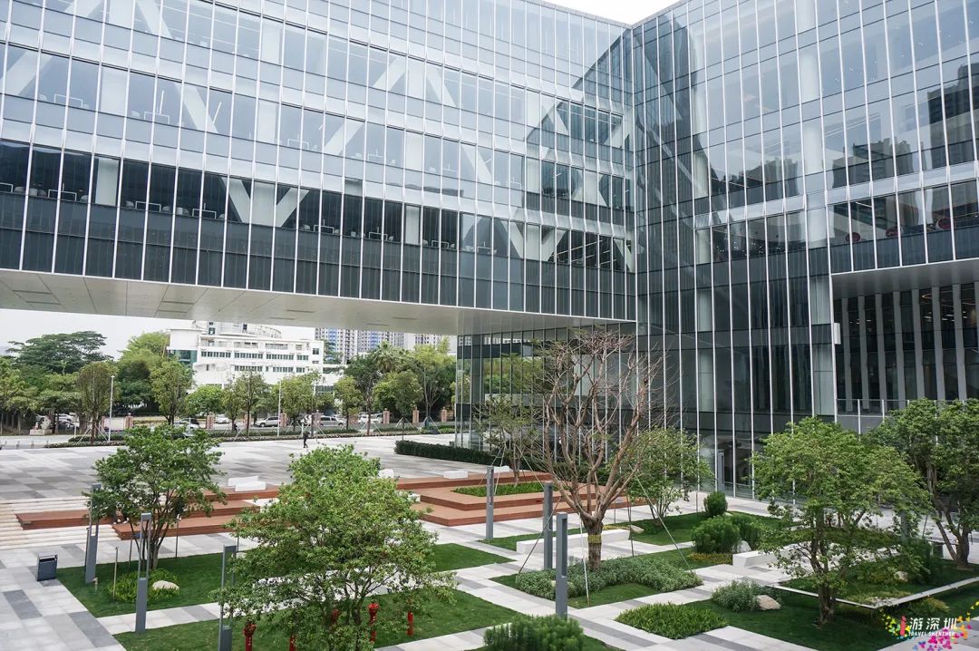 又是看完想去系列!深圳这个高颜值新地标,地铁直达还免费