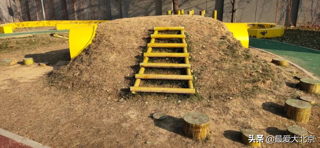 羡慕啊！住在双清路就是不一样