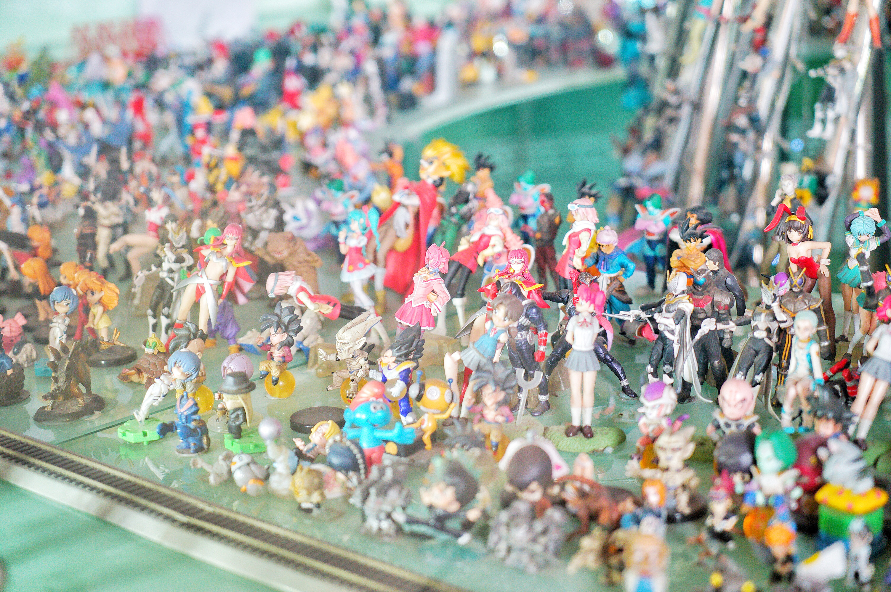 广州粉色浪漫花海,广东秋天粉色花海