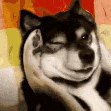 外国奇葩美食,外国最奇葩的美食