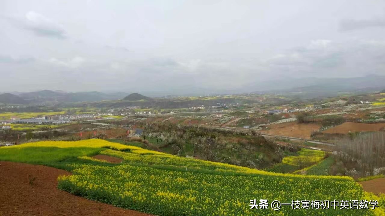 去做某事的句型,将要做某事句型