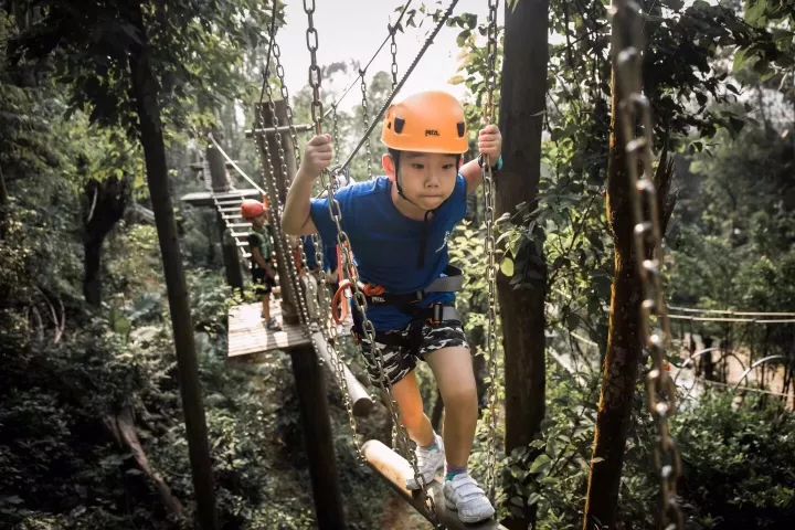 深圳~49.9抢购可拉熊黄线挑战~带上孩子去森林探险、释放心中激情