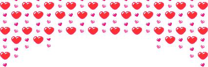 999玫瑰惊喜,999朵玫瑰生日礼物