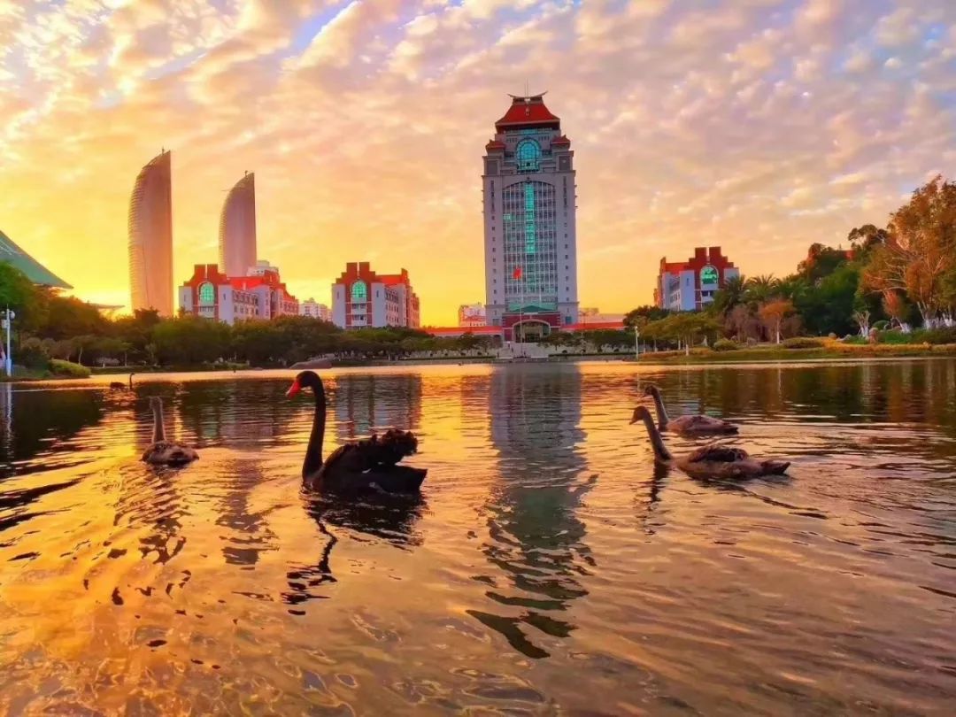 一个人旅行之厦门,一个人去厦门旅行攻略大全