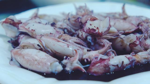 福鼎旅游数据,福鼎纪录片