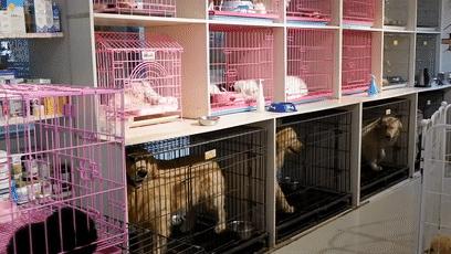 郑州哪个批发市场最便宜,最新最全郑州批发市场一览表