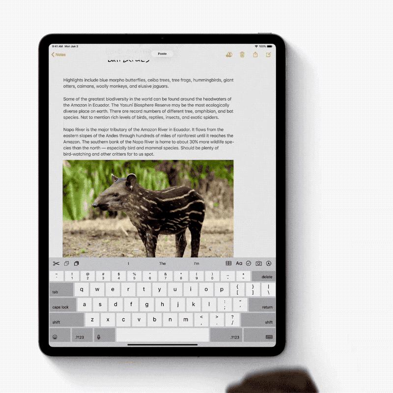 一文了解苹果WWDC2022,苹果wwdc2019