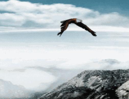 《庄子》中鲲鹏只是一只大鸟？解读其中之谜，格局的“进化论”