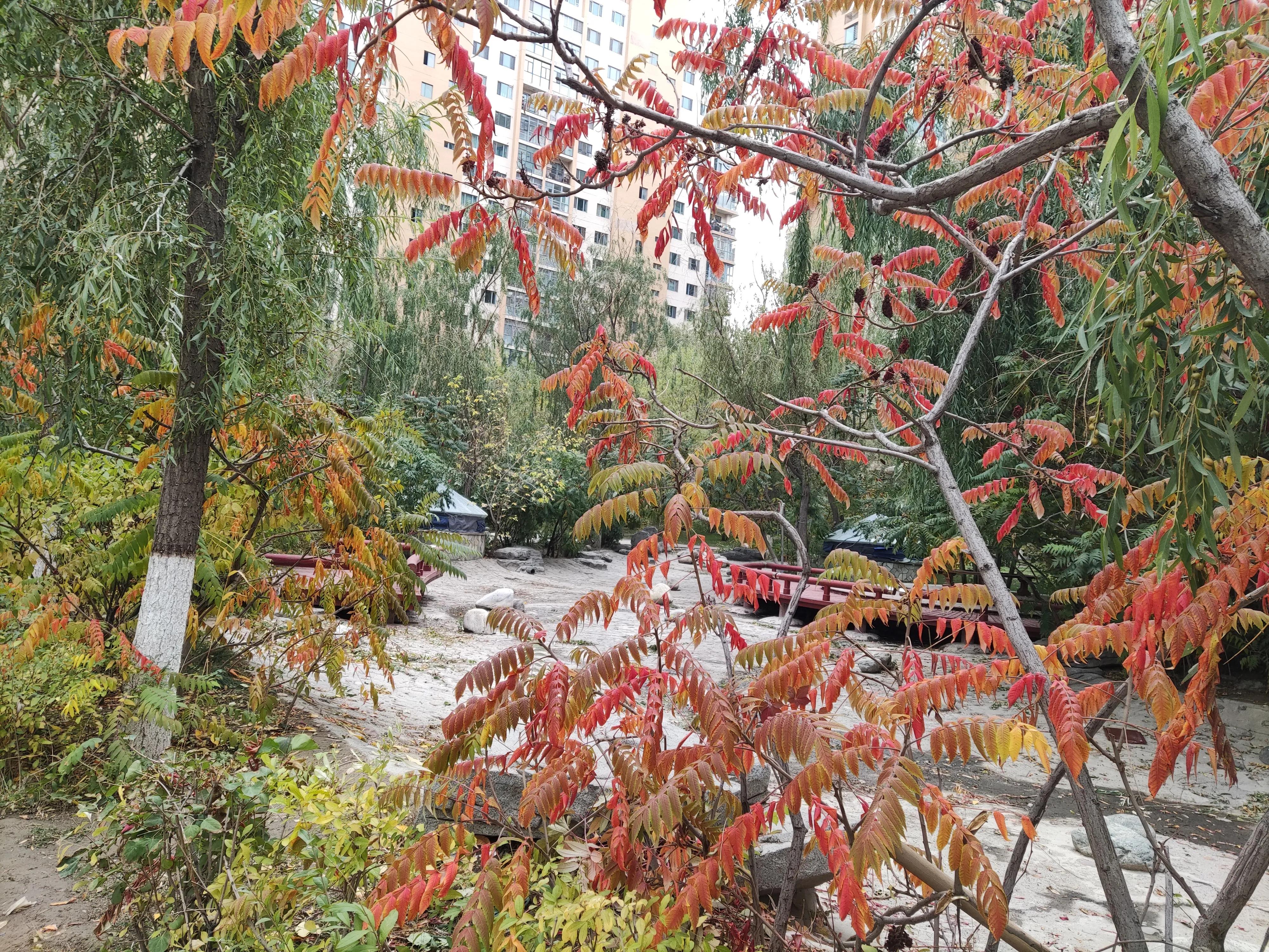 乌鲁木齐市南湖绿化广场附近小区,乌鲁木齐绿化最好的公园