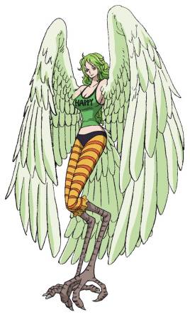 海贼王里十大最漂亮的女性,海贼王女性角色介绍大全