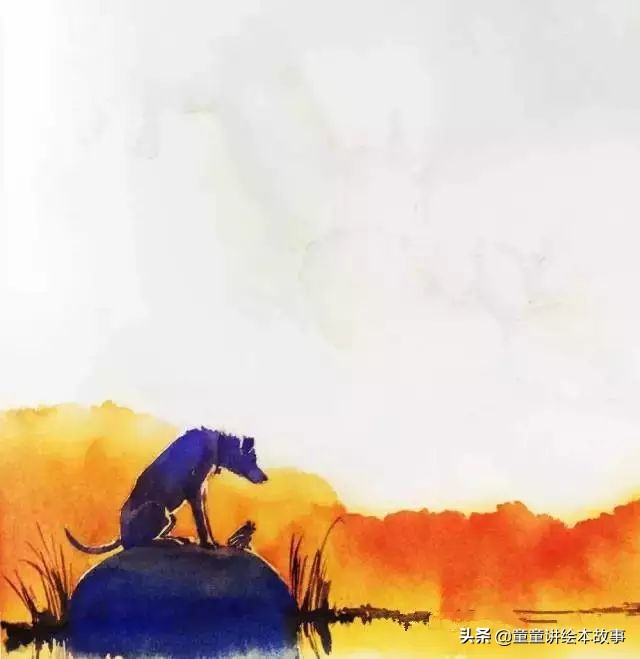 绘本故事有声小熊进城,绘本故事大城市里的小象