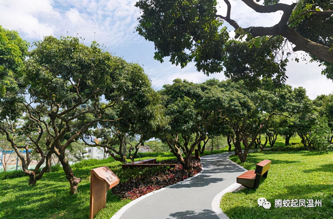 腾蛟镇发展,腾蛟凤巢社区