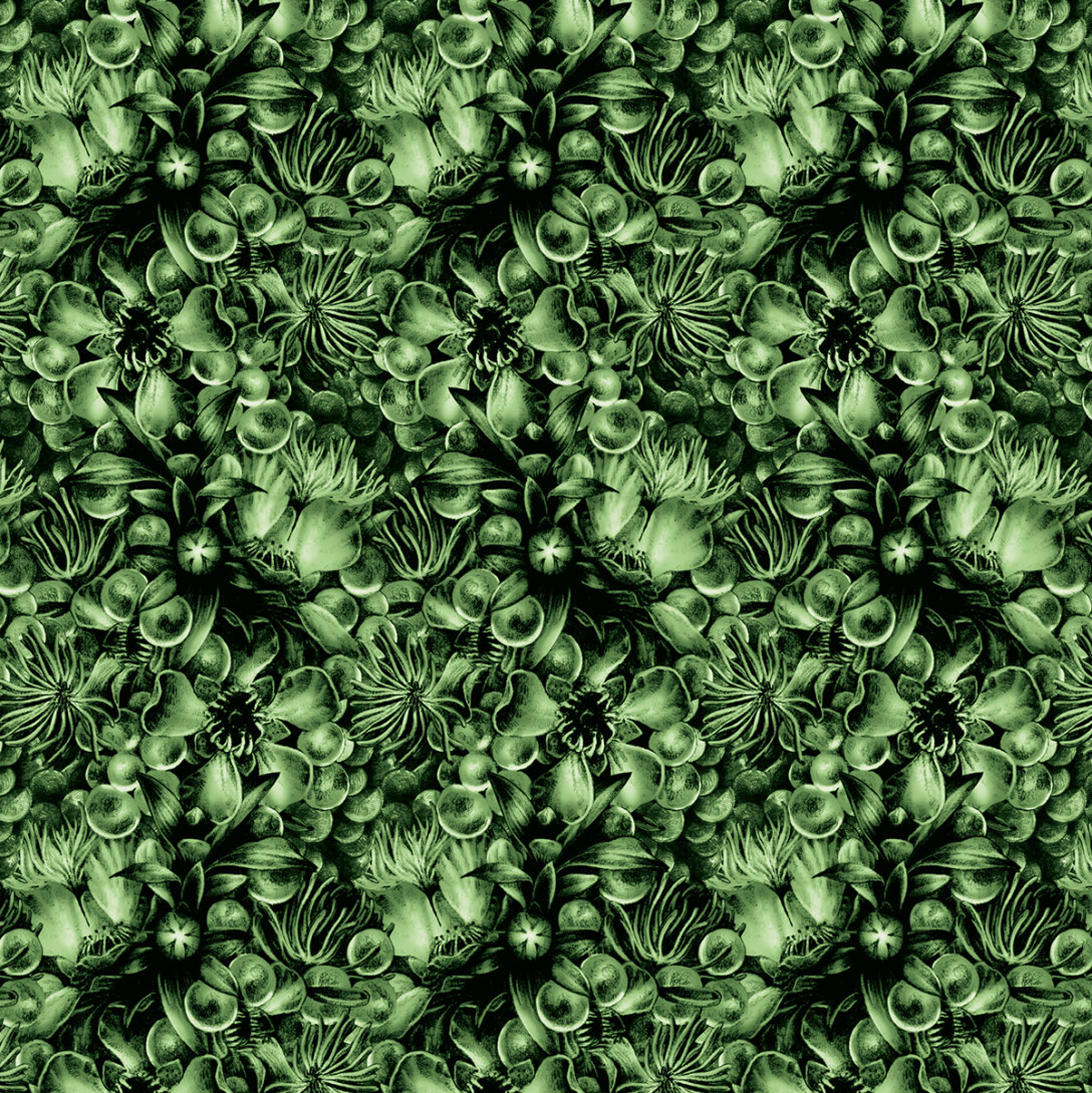 antipodes品牌介绍,antipodes新品鉴赏