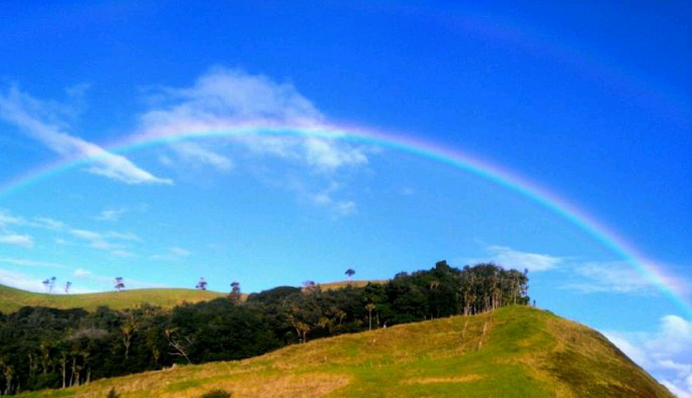 一树山介绍,一树山