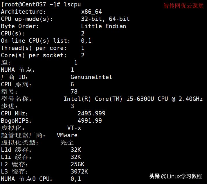 Linux强大的ls命令家庭，你全部都用过了吗？