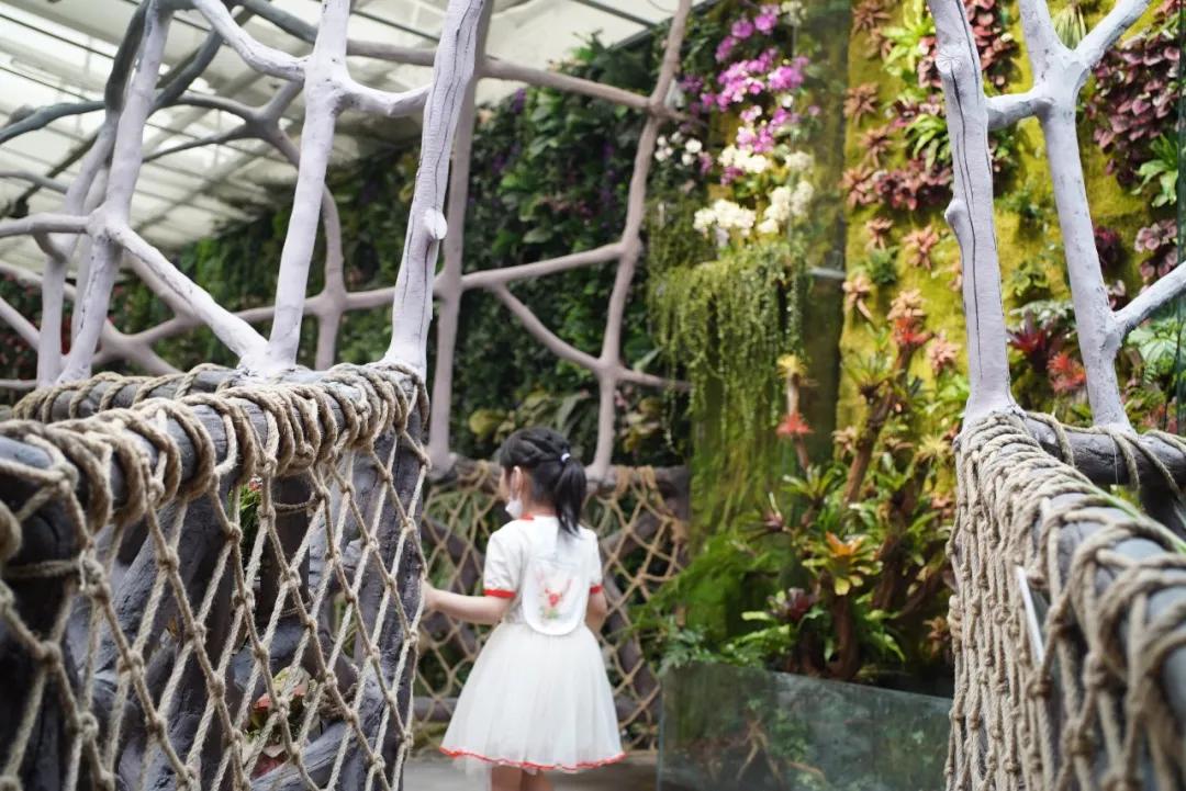 占地30000㎡！这艘建在安华汇天台上的巨船，竟是亲子乐园