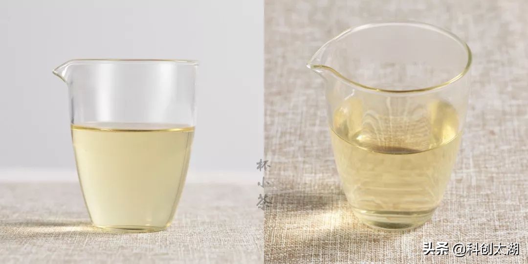 用多少度的茶泡茶最好喝,蒲公英根茶与什么泡茶最好