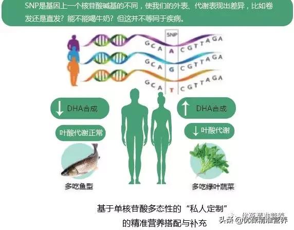 补铁补血过量,铁元素若缺就补铁