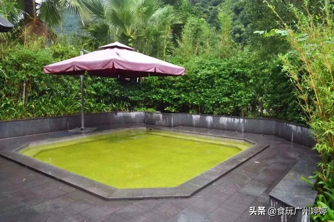 新丰云天海原始森林温泉订房,新丰云天海度假