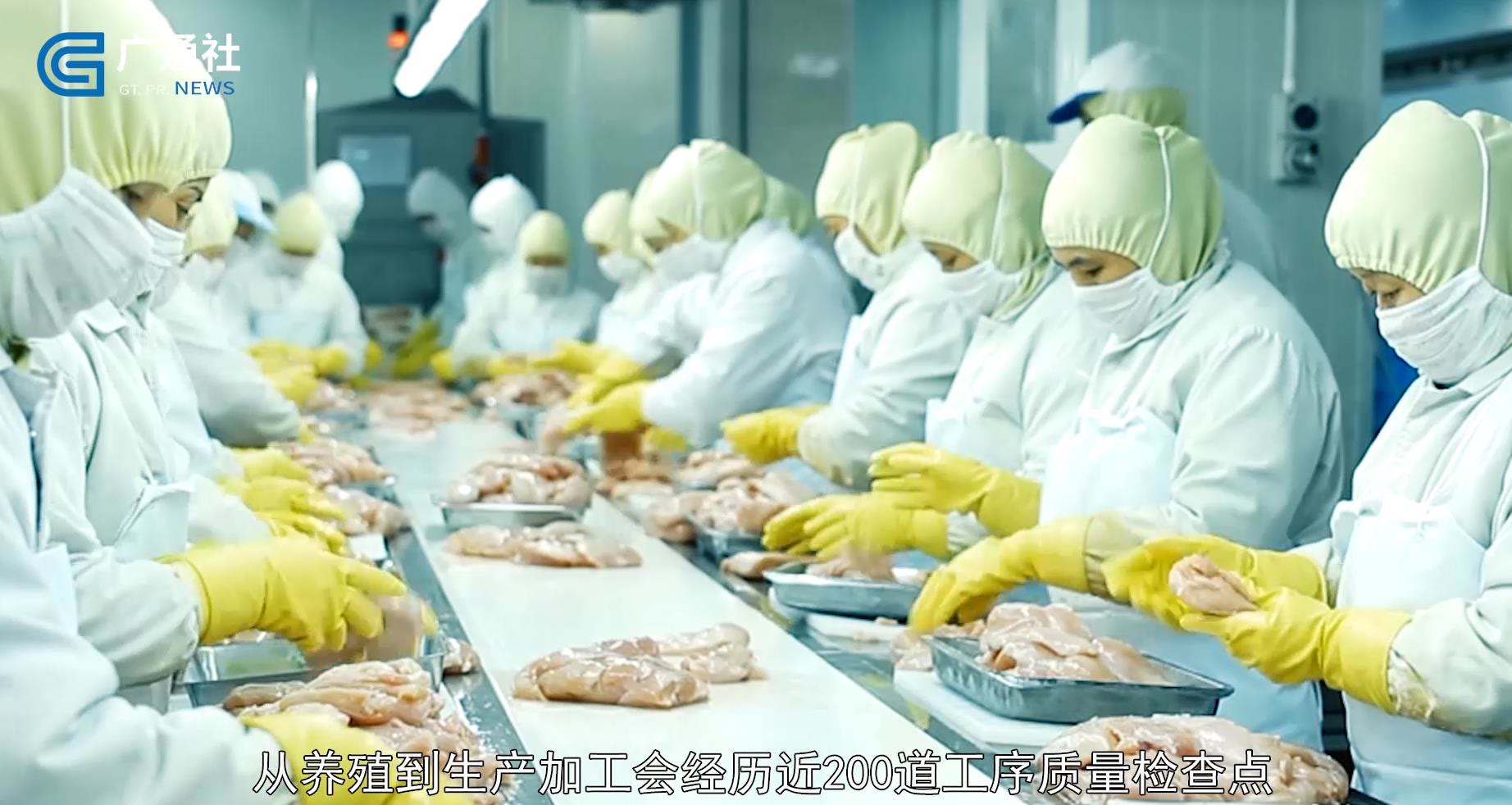 深圳电视台深圳直通车栏目,深圳卫视直通车报道