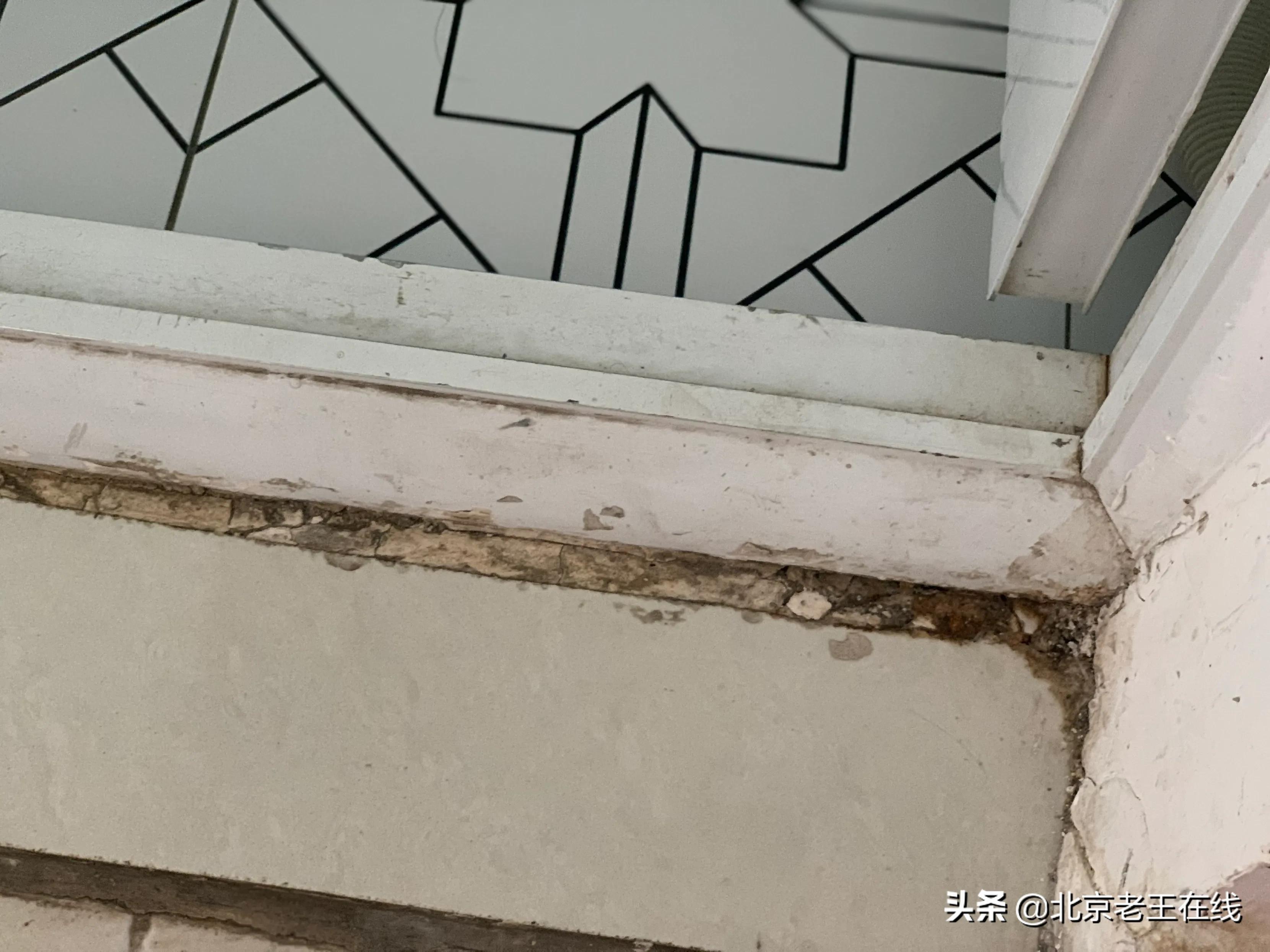 川渝旅行八天,川渝民宿