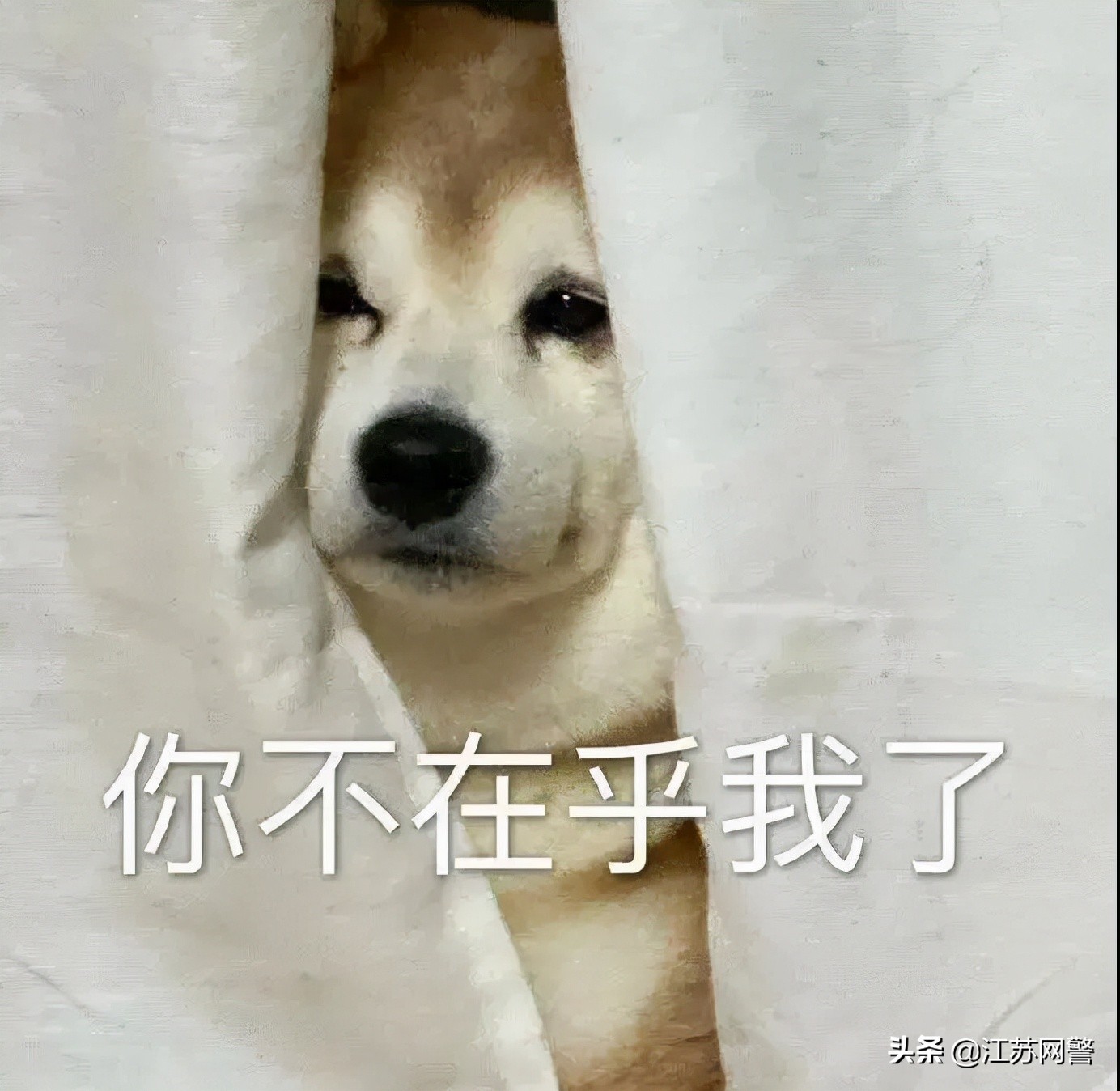 江苏南京代购衣服,代购买的包一直没收到货怎么办