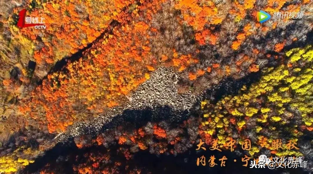 喜大普奔奔小康,喜大普奔可喜可贺